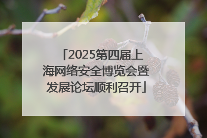2025第四届上海网络安全博览会暨发展论坛顺利召开