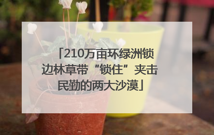 210万亩环绿洲锁边林草带“锁住”夹击民勤的两大沙漠