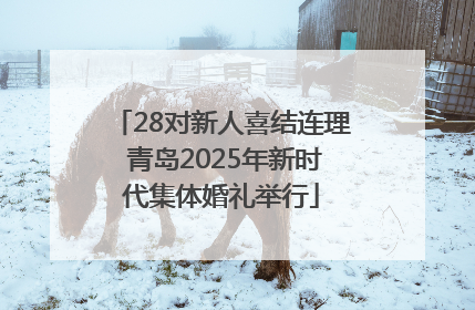 28对新人喜结连理 青岛2025年新时代集体婚礼举行