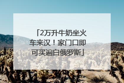 2万升牛奶坐火车来汉！家门口即可买遍白俄罗斯