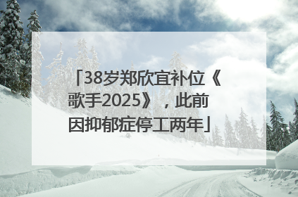 38岁郑欣宜补位《歌手2025》，此前因抑郁症停工两年