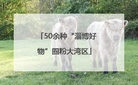 50余种“淄博好物”圈粉大湾区