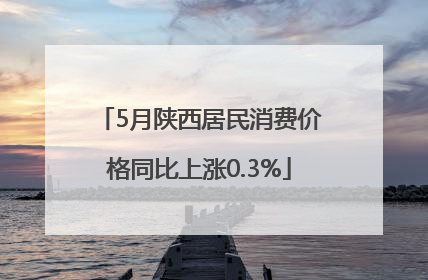 5月陕西居民消费价格同比上涨0.3%