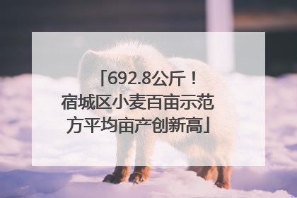 692.8公斤！宿城区小麦百亩示范方平均亩产创新高