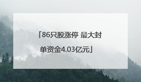 86只股涨停 最大封单资金4.03亿元