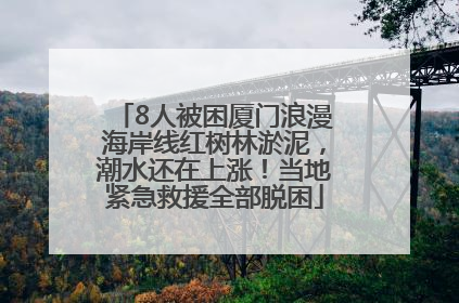 8人被困厦门浪漫海岸线红树林淤泥，潮水还在上涨！当地紧急救援全部脱困