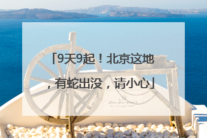 9天9起！北京这地，有蛇出没，请小心