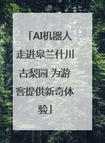 AI机器人走进皋兰什川古梨园 为游客提供新奇体验