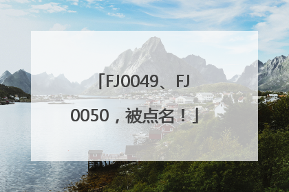 FJ0049、FJ0050，被点名！
