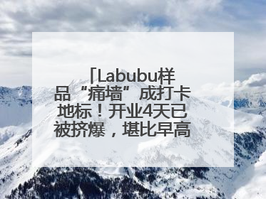 Labubu样品“痛墙”成打卡地标！开业4天已被挤爆，堪比早高峰菜市场